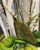 Rustic Orchid Arrangement | Floral Arrangements by Fleurina Designs