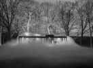 Fog #2 | Photography by Richard Barnes | Williamson Residence in Williamson
