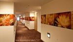 Rica Belna - Modern, Floral Hallways | Prints by Rica Belna | Thermenhotel Karawankenhof in Villach. Item composed of paper