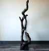 Driftwood Root Art Sculpture "Rooted In Stone" | Sculptures by Sculptured By Nature  By John Walker. Item made of wood works with minimalism style