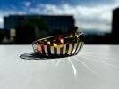 The Basket | Serving Bowl in Serveware by Rikan