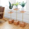 Stem | Plant Stand in Plants & Landscape by Formr. Item made of wood