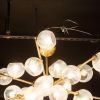 Alan Mizrahi IQ2074 Modernis | Chandeliers by Alan Mizrahi Lighting Design