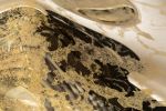 Stingray Old Gold Platter | Serveware by PlusObject