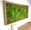 Plant Wall Art Moss and Fern Sculpture, Long Horizontal | Living Wall in Plants & Landscape by Sarah Montgomery