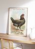 Vintage White Hen Rooster Art, Vintage Chicken Art, Vintage | Prints in Paintings by Capricorn Press. Item composed of paper compatible with boho and minimalism style