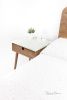 Nightstand in solid Walnut / oak board and top in Marble | Storage by Manuel Barrera Habitables. Item composed of walnut and marble