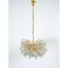 Alan Mizrahi LU9935 Delicate Murano | Chandeliers by Alan Mizrahi Lighting Design
