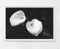 Large black and white wall art, black and white flower | Prints by Capricorn Press. Item composed of paper compatible with boho and minimalism style