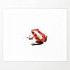 Red Poison Dart Frog | Prints by Brazen Edwards Artist. Item composed of canvas & paper