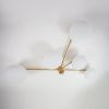 Stella Fan | Sconces by DESIGN FOR MACHA. Item made of brass with glass