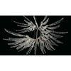 Alan Mizrahi IQ3409 Angel | Chandeliers by Alan Mizrahi Lighting Design