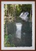 Reflection in pond | Photography by Louise O'Gorman