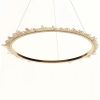 Alan Mizrahi DR1115L Prometheus Ring | Pendants by Alan Mizrahi Lighting Design