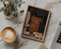 Newsstand Dog | Prints by The Ugly Cat Studio