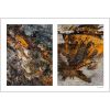 Spills Diptych #15: Coffee Ground Abstract | Photography by Susan Bowen Photos