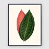 Antique Botanical Print Set of 8 leaf prints on fine art | Prints by Capricorn Press. Item composed of paper in boho or country & farmhouse style