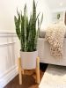 Indoor/Outdoor Mid-Century Style Plant Pot Stand Custom Fit | Plant Stand in Plants & Landscape by Good Wood Brothers. Item composed of wood in contemporary style
