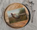 Rocco the Pheasant | Work by The Ugly Cat Studio