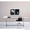 Spills Diptych #05: Conversing White Blobs | Photography by Susan Bowen