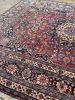 GLOWING Northeast Antique | Timeless Beauty with Blooming | Area Rug in Rugs by The Loom House. Item composed of cotton and fiber