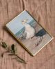 Wobbly Leg Seagull | Prints by The Ugly Cat Studio