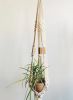 Summer Goals Plant Hanger - Premade! | Plants & Landscape by Modern Macramé by Emily Katz. Item made of cotton with leather