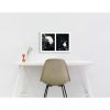 Spills Diptych #05: Conversing White Blobs | Photography by Susan Bowen Photos