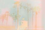 Summer dreams | Photography by Louise O'Gorman