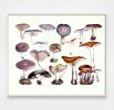 Mushroom Decor, Mushroom Art Print, Kitchen Art, Foodie Art | Prints by Capricorn Press. Item composed of paper in boho or minimalism style