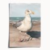 Wobbly Leg Seagull | Prints by The Ugly Cat Studio