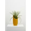 Small Summit Planter | Vases & Vessels by Capra Designs