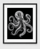 EXPOSED 003 — OCTOPUS | Decorative Objects by Exposedart