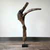 Driftwood Sculpture "Mirthful Maguari" | Sculptures by Sculptured By Nature  By John Walker. Item composed of wood in minimalism style