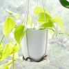 Small Leather Plant Hammock | Plant Hanger in Plants & Landscape by Keyaiira | leather + fiber | Artist Studio in Santa Rosa. Item made of cotton with leather