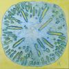 "Sand dollar" | Oil And Acrylic Painting in Paintings by Natasha Kanevski. Item made of canvas works with minimalism & contemporary style