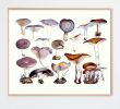 Mushroom Decor, Mushroom Art Print, Kitchen Art, Foodie Art | Prints by Capricorn Press. Item composed of paper in boho or minimalism style