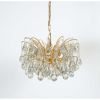 Alan Mizrahi LU9935 Delicate Murano | Chandeliers by Alan Mizrahi Lighting Design