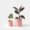 Kolo Planter - 2 sizes | Vases & Vessels by Misewell