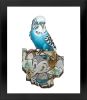 "Lord Budgie" | Prints by Greg "CRAOLA" Simkins