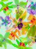 Orchid You Not - 6 Versions | Photography by Joanie Landau