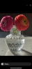 Small Optic Clear Vase | Vases & Vessels by Tucker Glass and Design`