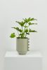 Zip Feature Planter | Vases & Vessels by Capra Designs