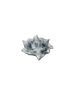 Lunar Selenite Leaf Bowl | Decorative Bowl in Decorative Objects by RAW & UNIQ