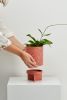 Tri Planter | Vases & Vessels by Capra Designs