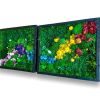 Wall Art Decor Moss Plants Dried Flower Art, Indoor Green | Living Wall in Plants & Landscape by Sarah Montgomery