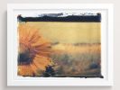 Sunflower On Film | Photography by She Hit Pause. Item composed of paper