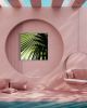 Shadow Palm | Photography by Neon Dunes by Lily Keller