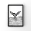 Whale Tail Print, Whale and Dolphin Conservation Donation | Prints by Carissa Tanton. Item composed of paper