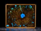 Lucidity - Illuminated wood and resin wall art | Mixed Media by Scott Williams - Unique Originals